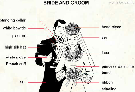 Bride and groom  (Visual Dictionary)